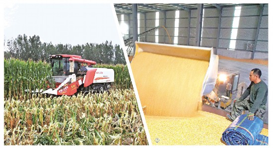 ɽ|ȫ朗le պ惦e]h(hun)Z